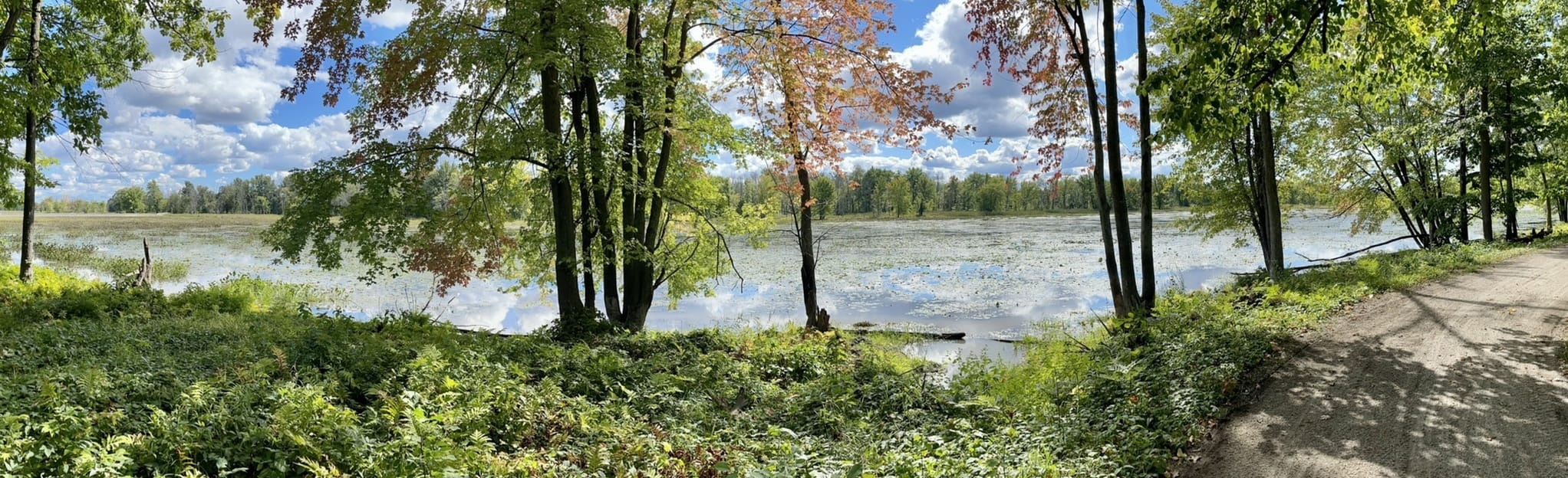 Sentier les Étangs - Parc de Plaisance: 11 Reviews, Map - Quebec ...