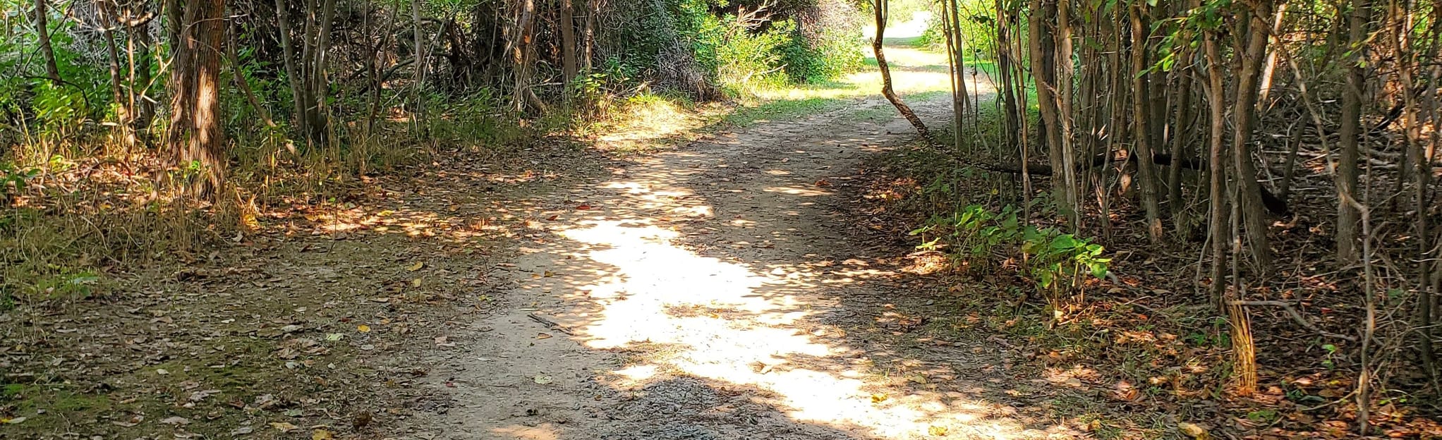 St. Clements Island Trail 7 Reviews, Map Maryland AllTrails