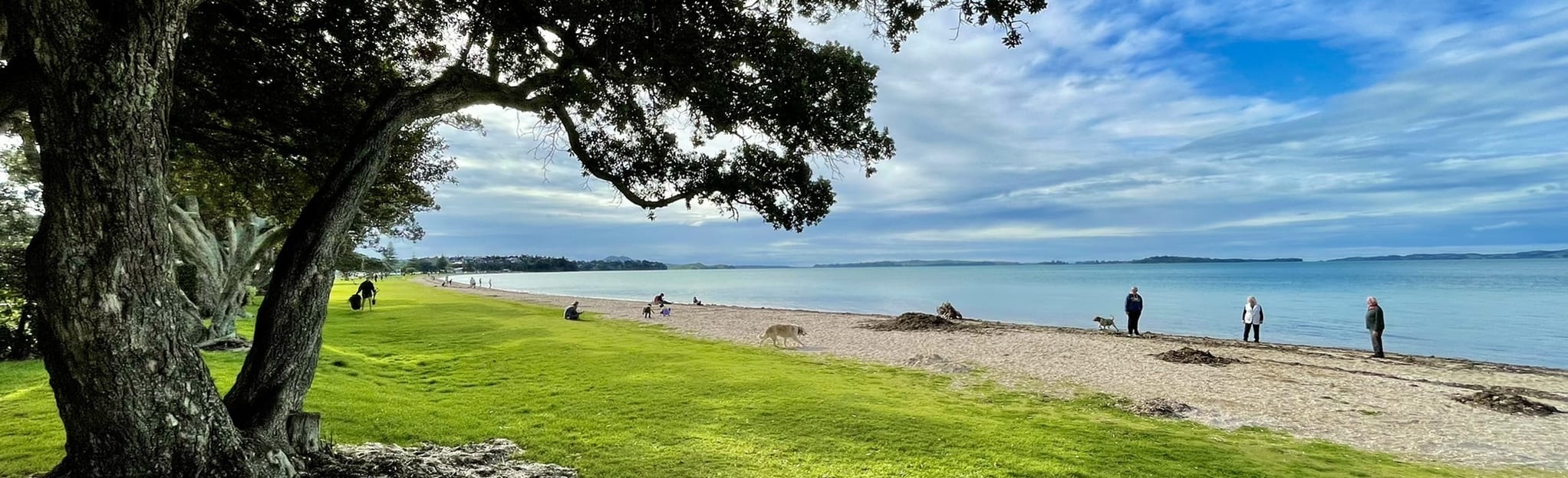 Eastern Beach and Half Moon Bay Marina Loop, Auckland, New Zealand 8