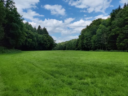 Burgrain Rundweg