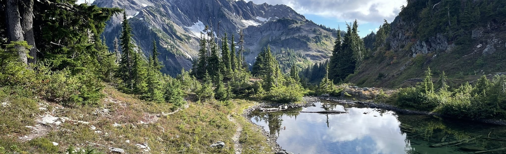 Enchanted Valley LaCrosse Basin O'Neill Pass Loop Mappa, Guida Washington AllTrails