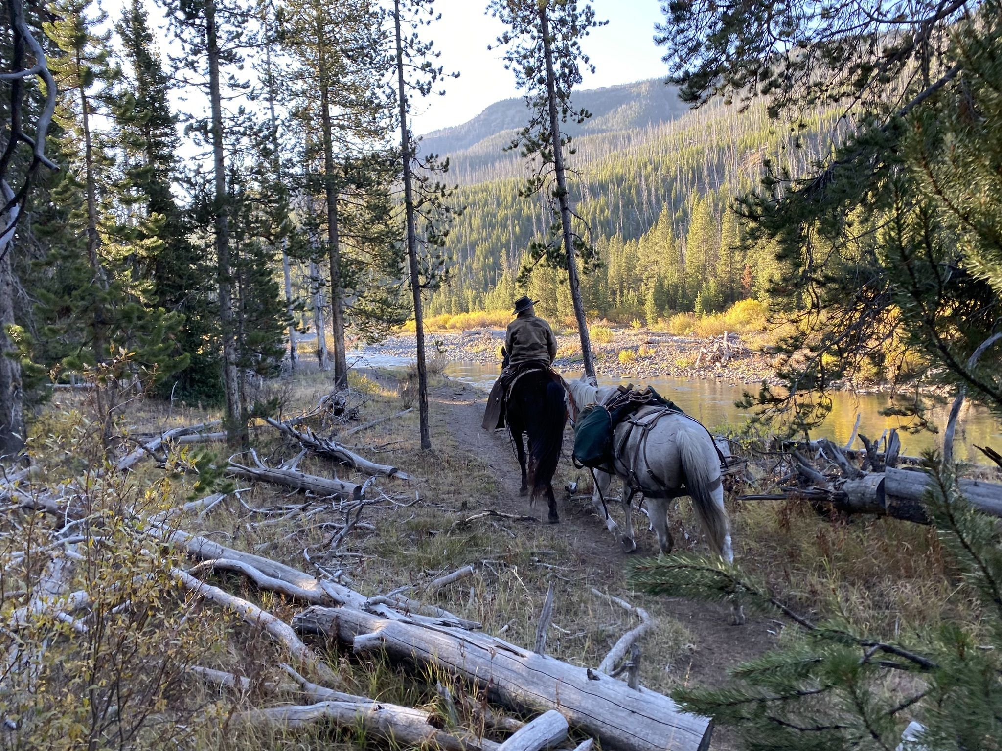 Thorofare trail clearance