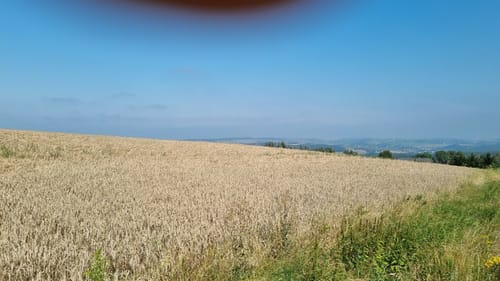 Runde Langenweißbach