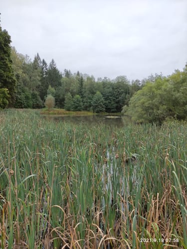 Tharandter Wald Wanderung