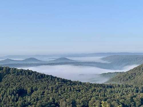 Von Neidenfels zum Drachenfels