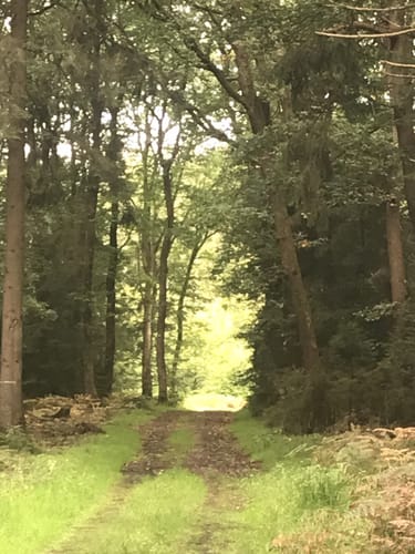 Hügelgräber-Route