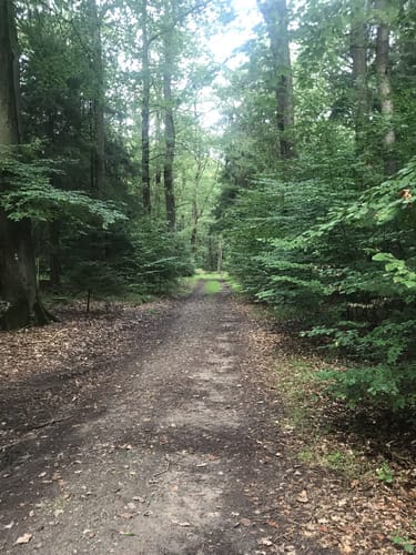 Hügelgräber-Route