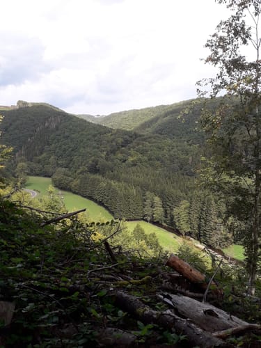 Falkenauel (Naturpark Südeifel Wanderweg Nr. 5)