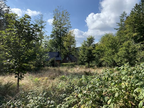 Kahler-Asten-Steig (Premiumwanderweg)