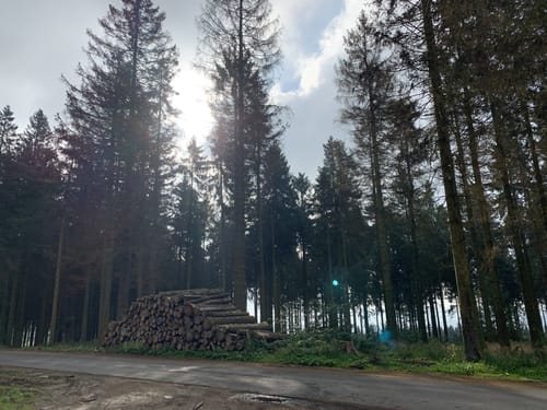 Kahler-Asten-Steig (Premiumwanderweg)