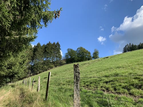 Kahler-Asten-Steig (Premiumwanderweg)