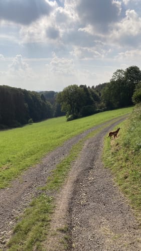 Rundweg von der Breckerfelder Mühle