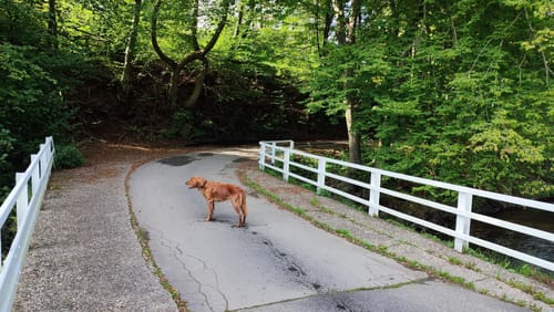 Rundweg von der Breckerfelder Mühle