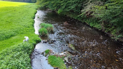 Rundweg von der Breckerfelder Mühle