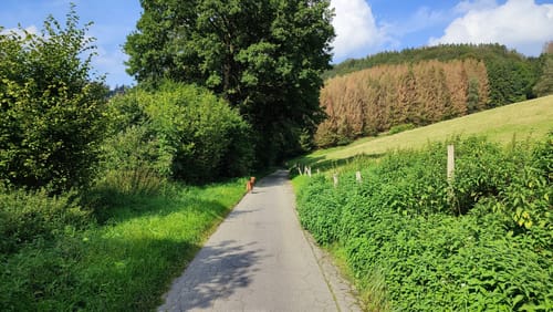 Rundweg von der Breckerfelder Mühle