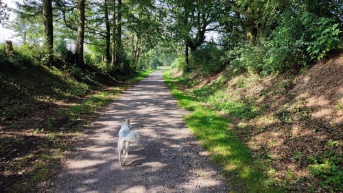 Rundweg von der Breckerfelder Mühle