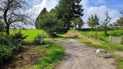 Rundweg von der Breckerfelder Mühle