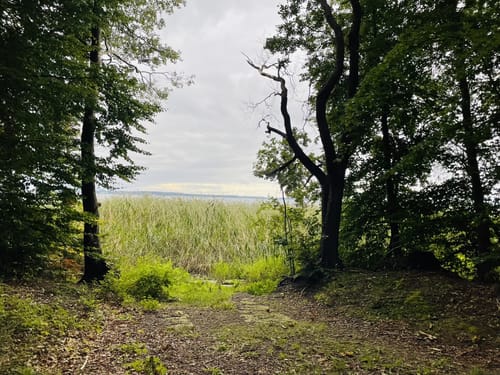 Plauer See Radrundweg