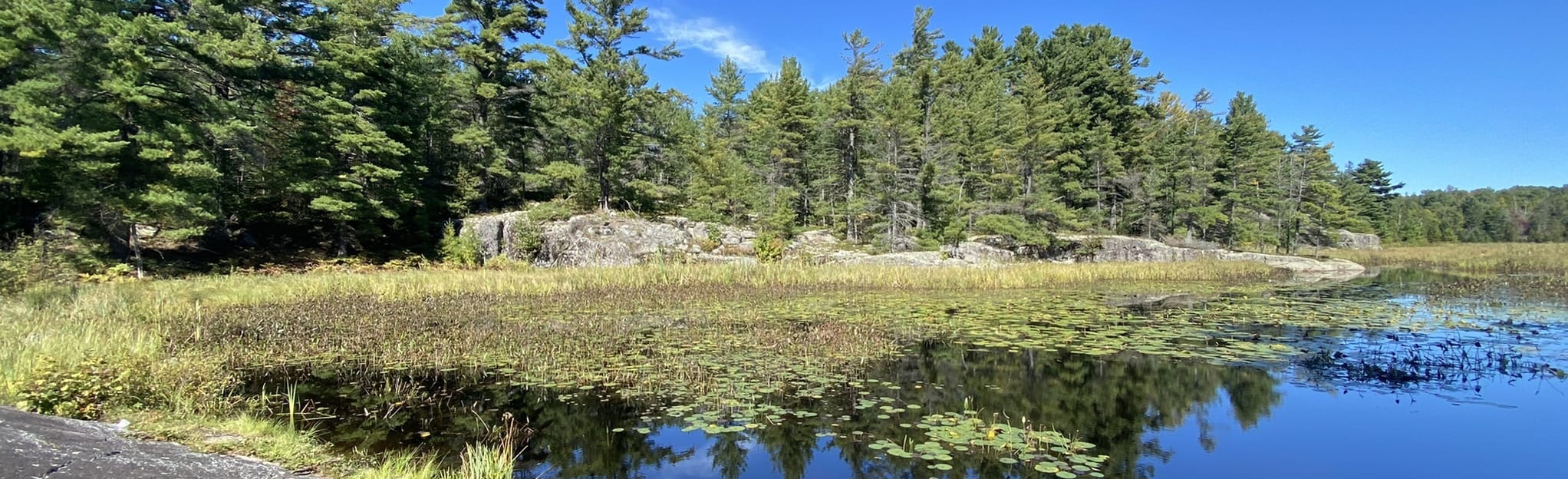 Beaver Dam Trail: 11 Reviews, Map - Ontario, Canada | AllTrails