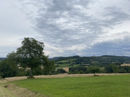 Keltenweg F