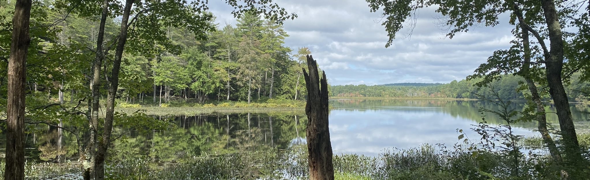 Tully Lake Long Pond Loop Map, Guide Massachusetts AllTrails