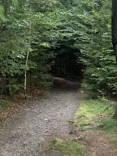 Neunkircher Höhe via Neunkirchen