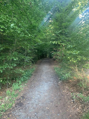 Neunkircher Höhe via Neunkirchen