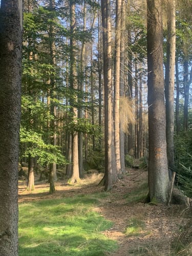 Neunkircher Höhe via Neunkirchen
