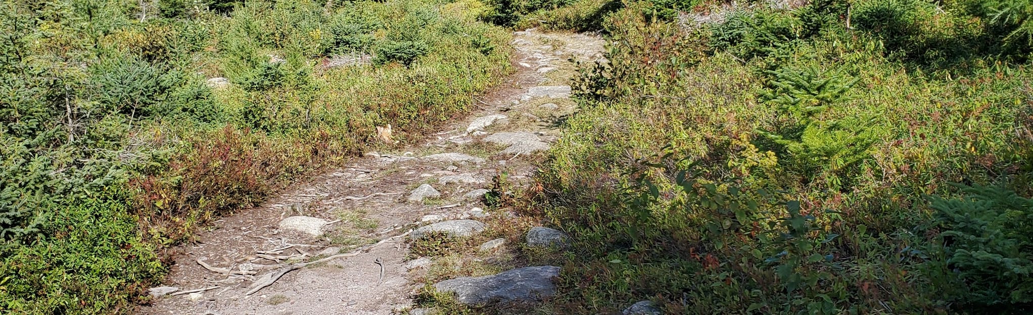 Red Beach Memorial Trail 6 Reviews, Map Newfoundland and Labrador