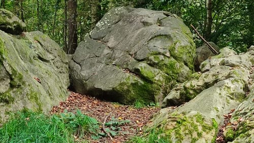 Merzhausen Runde
