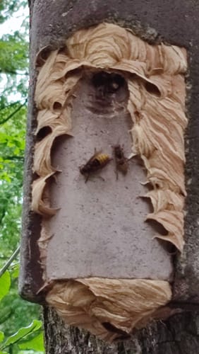 Merzhausen Runde