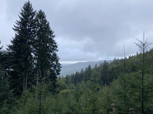 Hasenberg Runde