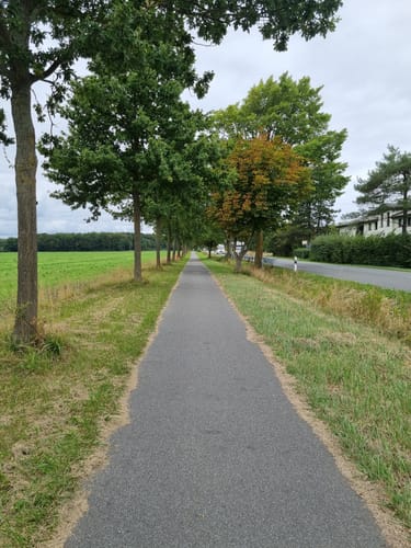 Von Bad Doberan um den Conventer See