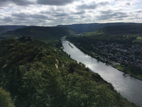 Moselsteig Etappe 14: Reil - Zell (Mosel)