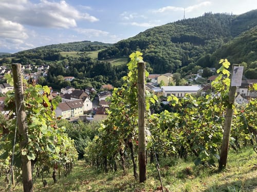Von Wolfstein zum Leienberg