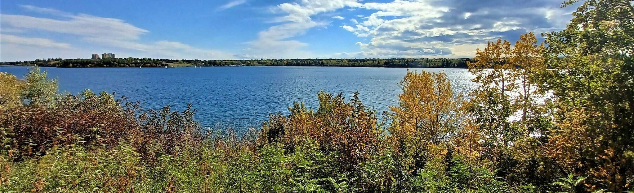 Glenmore Reservoir Paddle: 16 Reviews, Map - Alberta, Canada | AllTrails