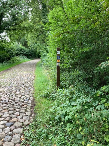 Padborg - Rinkeæs via Gendarmstien