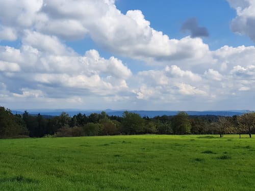 Buoch - Schorndorf