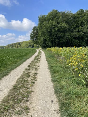 Hochbergsteig (Premiumwanderweg)