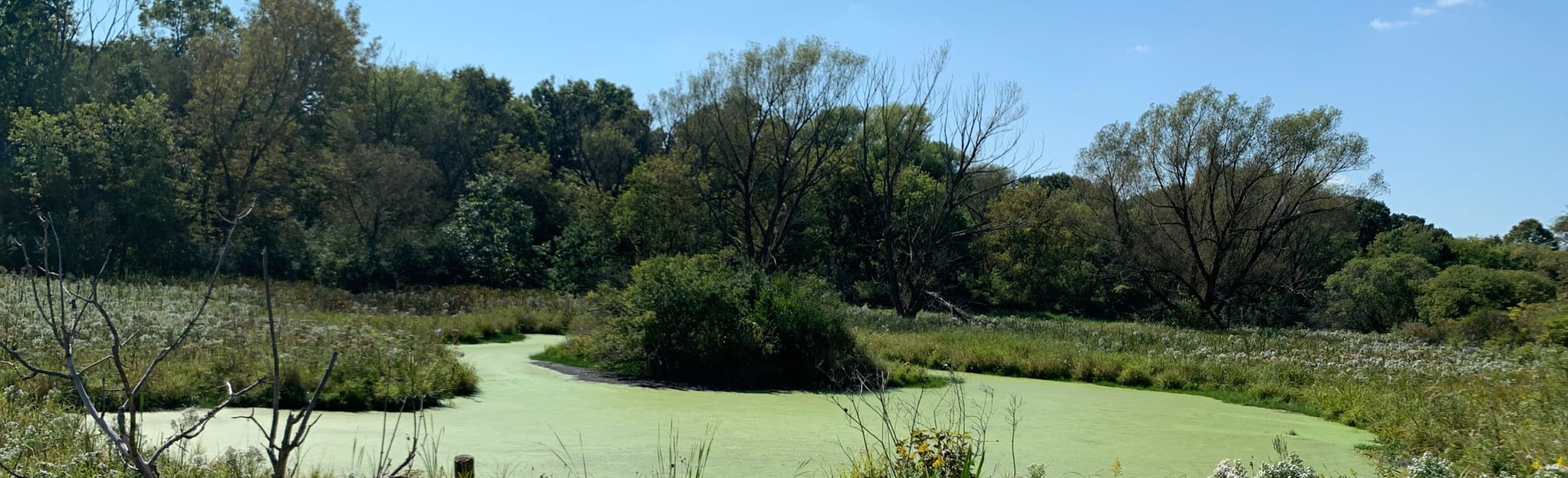 Castle Creek Conservancy Loop 18 Reviews, Map Wisconsin AllTrails