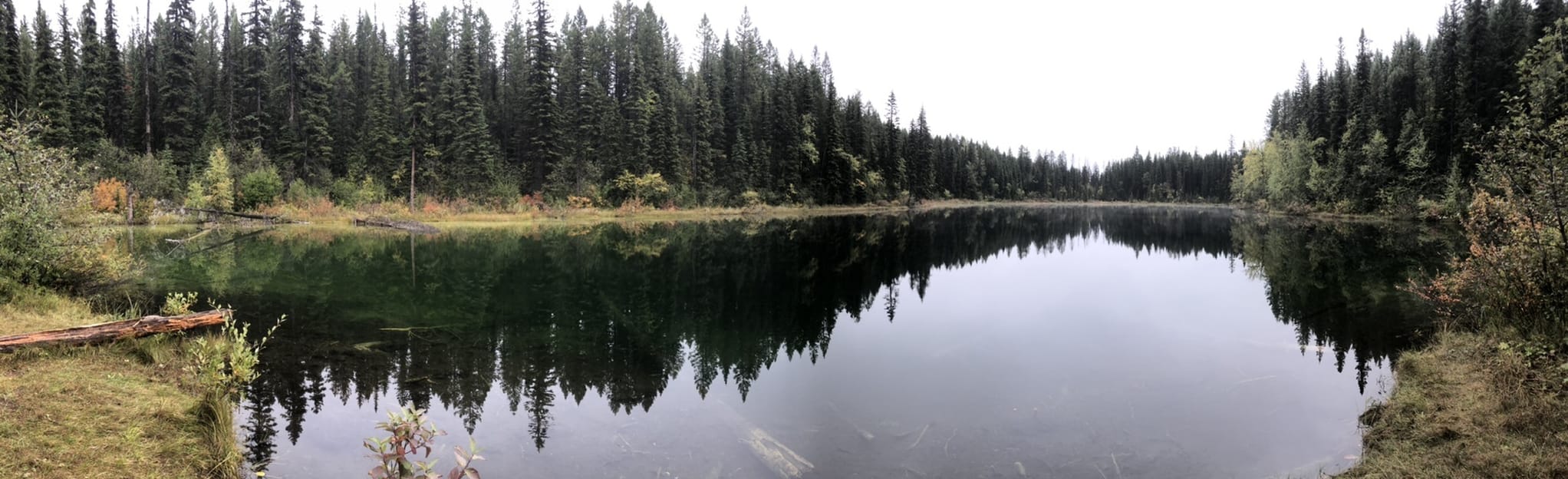 Cobb Lake Trail 96 Reviews, Map British Columbia, Canada AllTrails