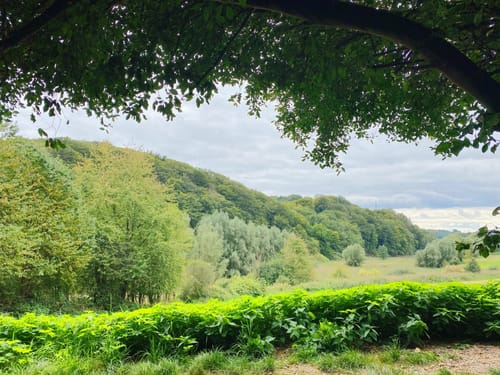 Gerresheim: Rotthäuser Bachtal