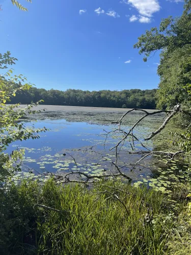 Best Hikes and Trails in Wonder Lake State Park | AllTrails