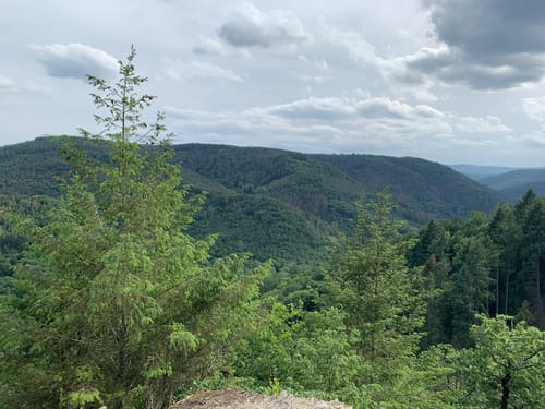 Wispertalsteig (Premiumwanderweg)