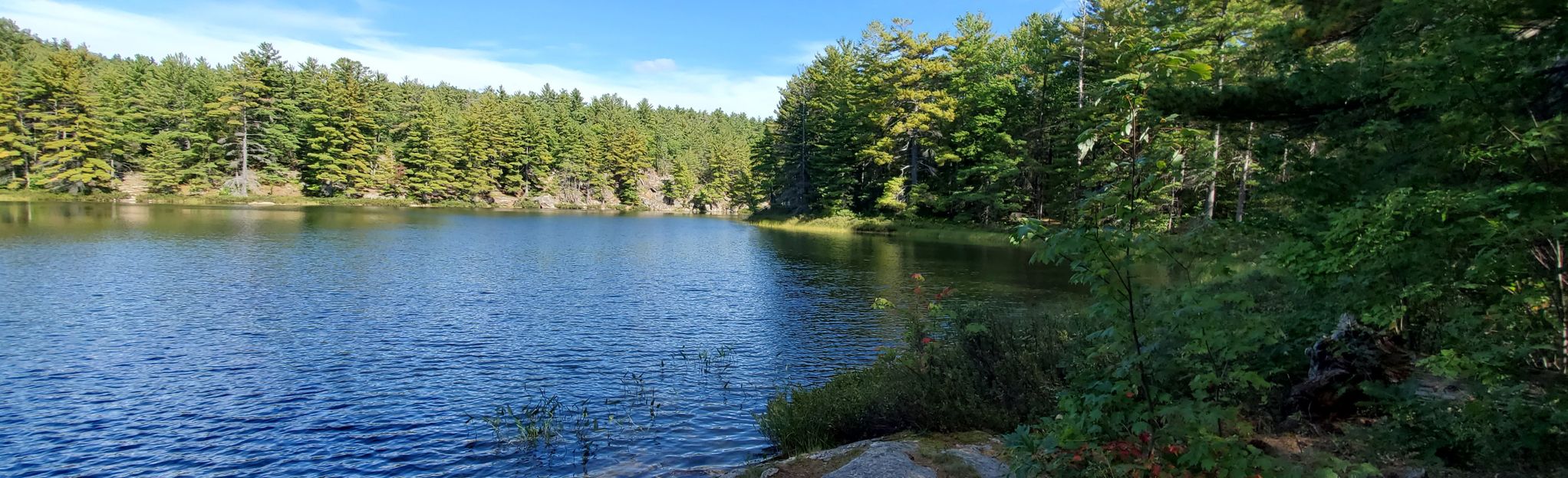 Rocher-à-l'Oiseau Trail: 105 foto's - Quebec, Canada | Wandelen - AllTrails