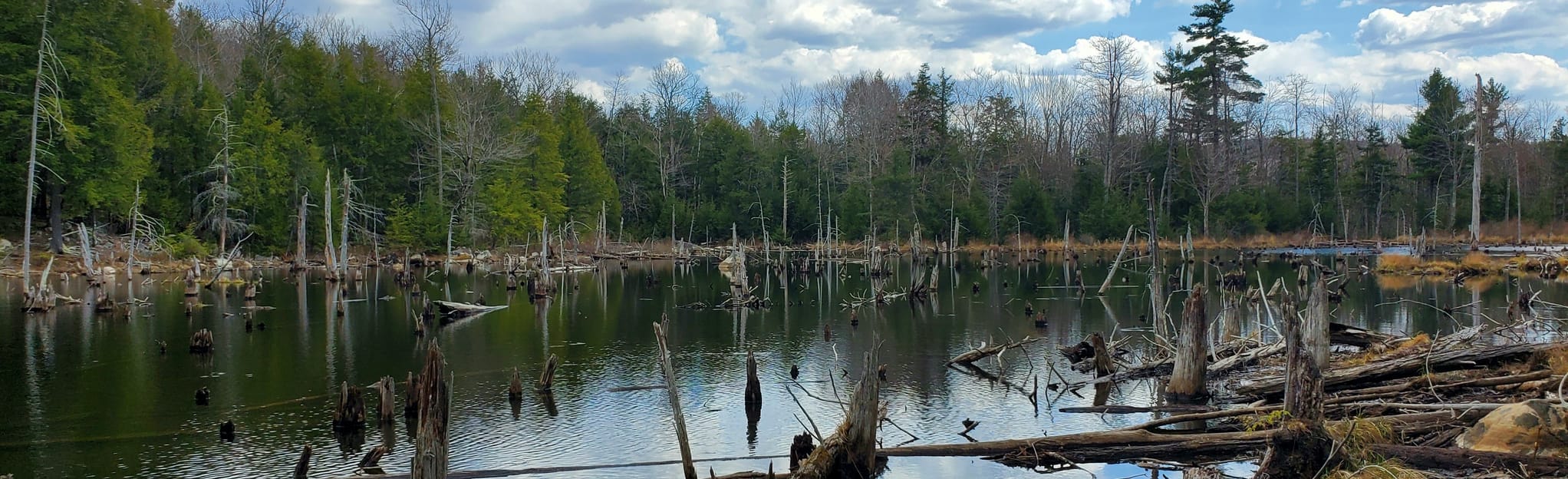 Snowmobile Trail and Boulder Loop Trail 31 Reviews, Map New