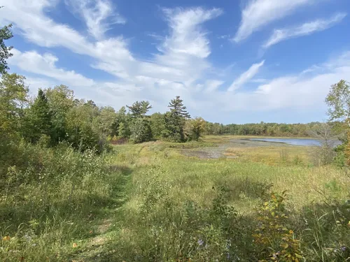 10 Best Forest Trails in Chippewa National Forest AllTrails