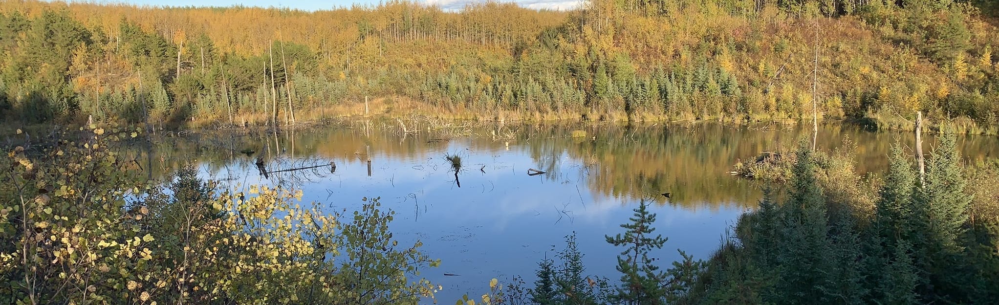 Sandberg Creek Trail 4 Reviews, Map Saskatchewan, Canada AllTrails