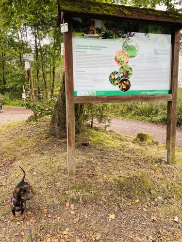 Von Bad Sachsa zum Ravensberg