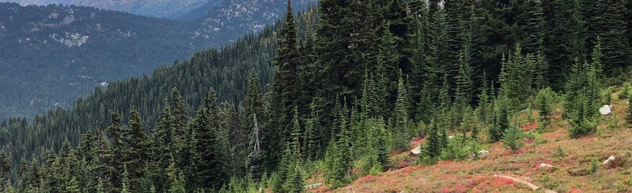 Spider Gap Buck Creek Pass Loop Washington AllTrails